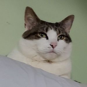 Meet your Posher, Sheila